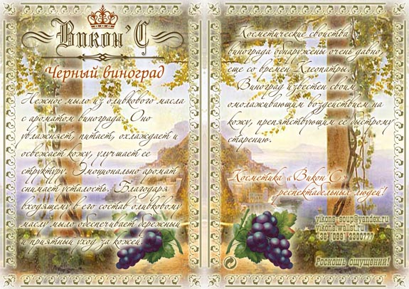 2009